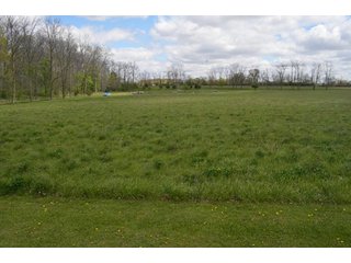 Property photo 52 - Real Estate & Personal Property Auction, Country Home, Building Sites, Pond